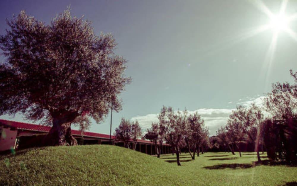 All Ways Garden Hotel & Leisure Roma Exterior foto